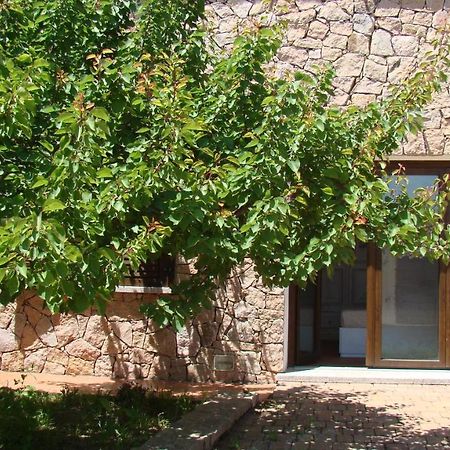 Bella Casa Con Giardino A 10 Minuti Dal Mare Appartement Aglientu Buitenkant foto