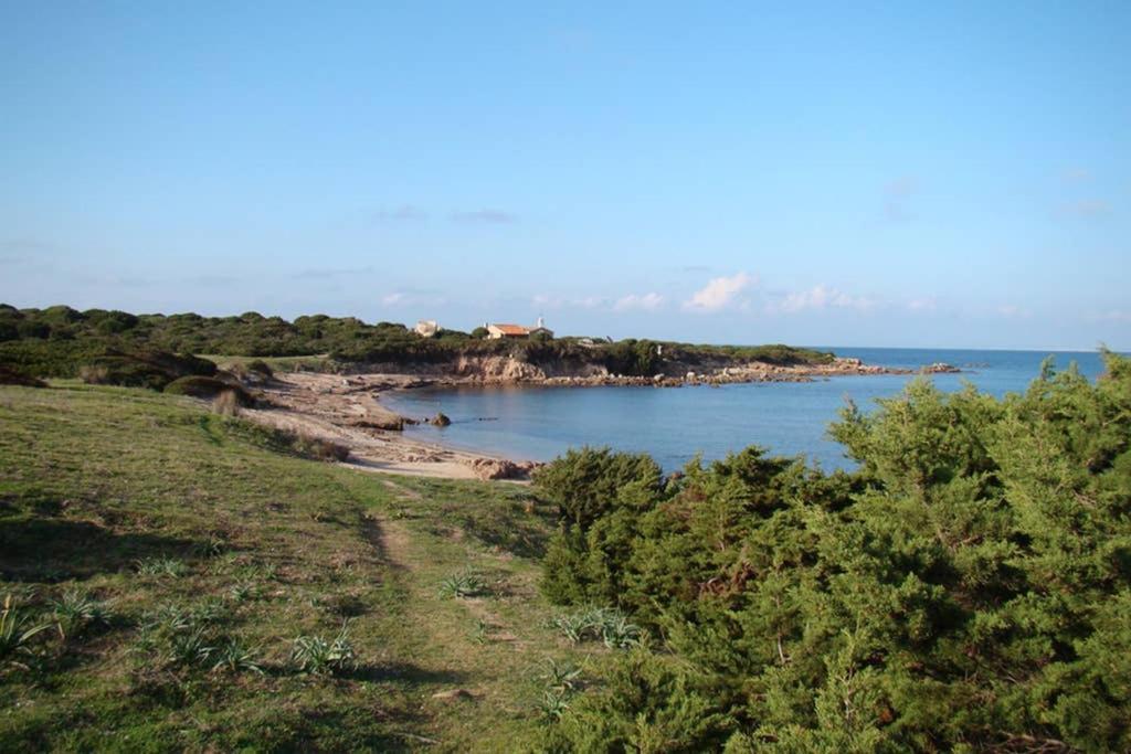 Bella Casa Con Giardino A 10 Minuti Dal Mare Appartement Aglientu Buitenkant foto